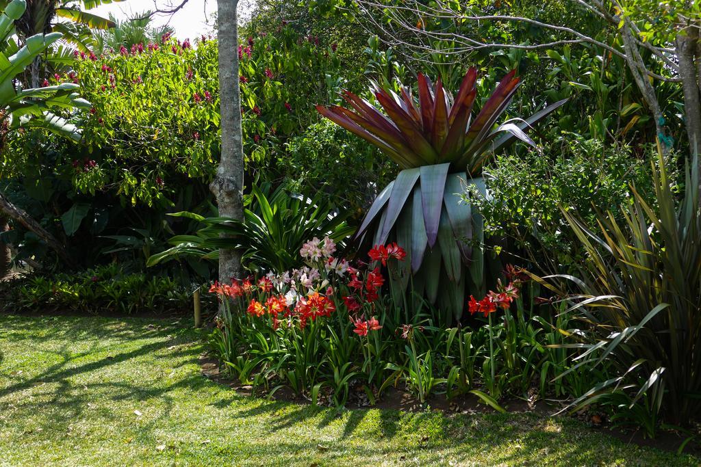 Hotel Bougainvillea San Jose Santo Domingo De Heredia Exterior foto